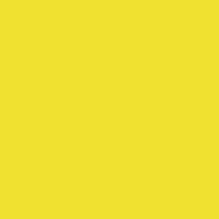Yellow Bright - Dandelion Color | ArtyClick