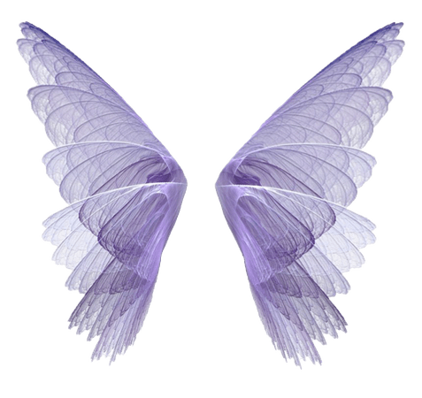 Fairy Wings PNG Image Transparent Background | PNG Arts