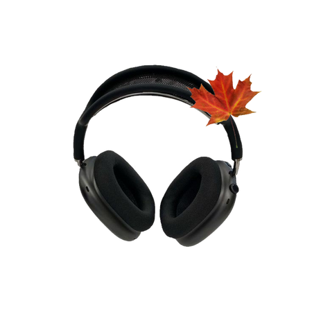 headphones autumn