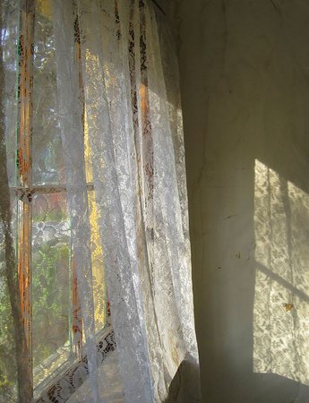 sunlight cottage window lace curtain aesthetic