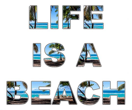 Life'S A Beach Life - Free image on Pixabay