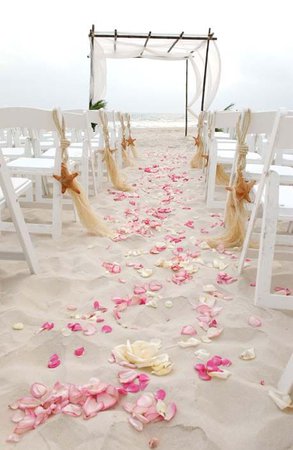 beach wedding - Google Search