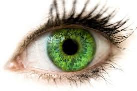 ​​﻿​​green eyes - Google Search