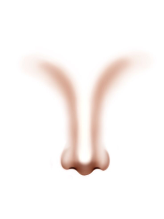 nose
