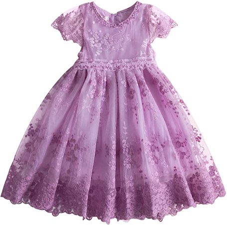 Amazon.com: Girl Dress Mesh Casual Lace Embroidery Princess Baby Girl Vintage Dresses 2-3 Years Size 100 Purple: Clothing