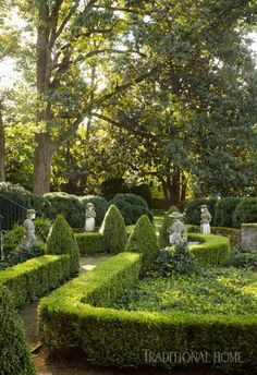 180 Best Boxwood garden ideas | boxwood garden, garden, beautiful gardens