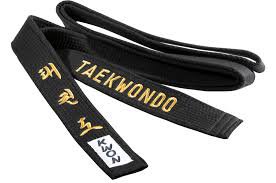 taekwondo black belt - Google Search