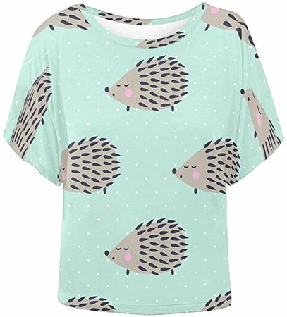 Amazon.com: INTERESTPRINT Women Short Sleeve T Shirt Tees Tops Blouse Hedgehog on Mint Polka Dots M: Clothing