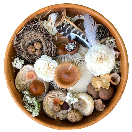mushroom basket