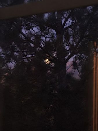 Night moon 🌙 beautiful my window 🪟 tree 🌳 mountain ⛰️ 💕