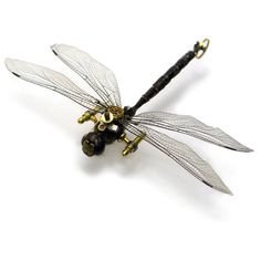 dragonfly steampunk filler