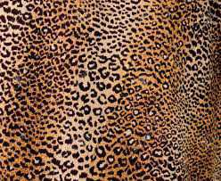 leopard background - Sök på Google