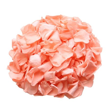 Coral rose petals for wedding confetti / decoration. Coral preserved rose petals, biodegradable