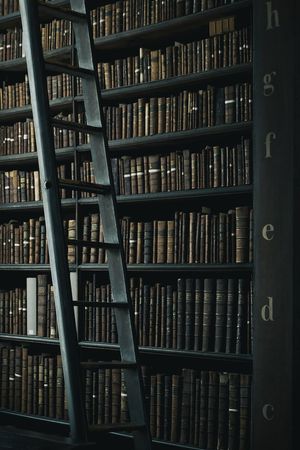 library shelf near black wooden ladder photo – Free Book Image on Unsplash