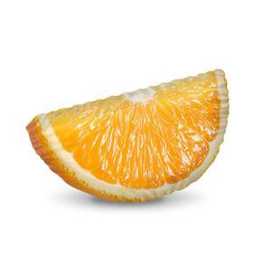 Orange Slice Pillow – THAT PILLOW GUY