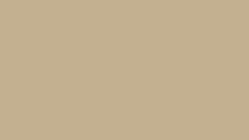 solid color khaki background - Google Search