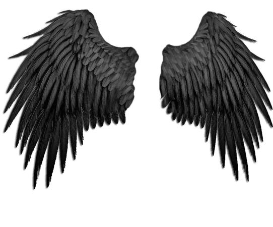 black wings 2