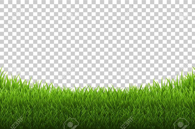 87210926-grass-panorama-transparent-background-vector-illustration.jpg (1300×865)
