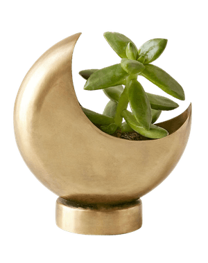 Half Moon Planter - Bronze | Decorist