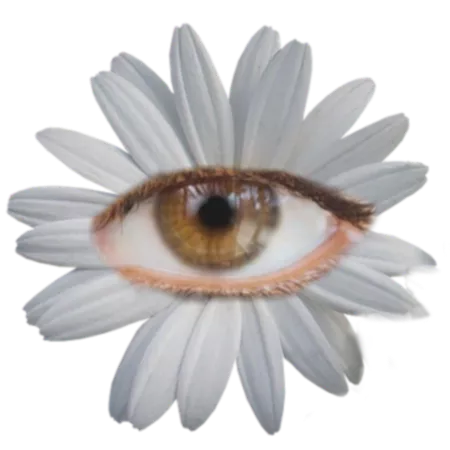 freetoedit flower eyes eye sticker by @monica_bennett