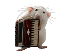 cias pngs // rat playing instrument