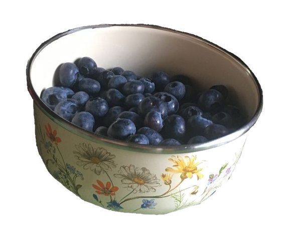 blueberry plate
