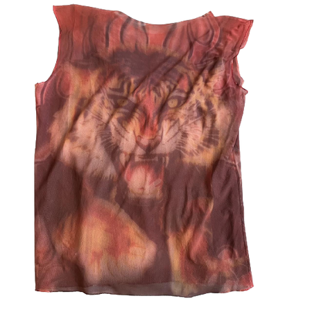 Urban Outfitters Mesh Tiger Top