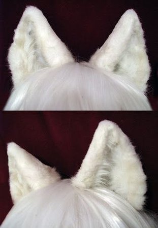 white wolf ears