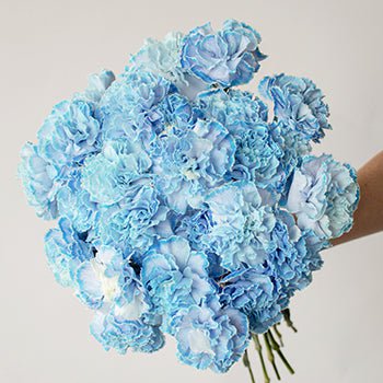 sky blue bouquet - Ricerca Google