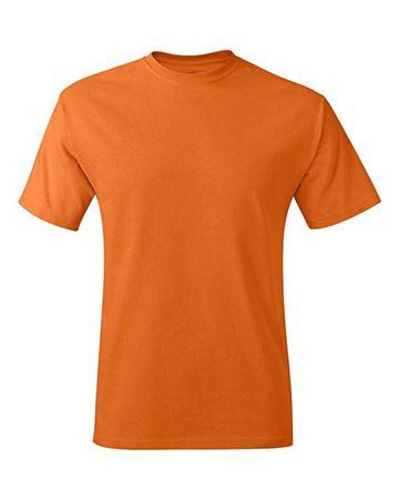 Hanes 5250 -Men's Tagless T-Shirt | Amazon.com