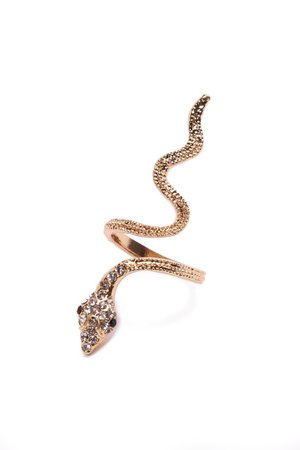 Snakes All Over Ring - Gold | Fashion Nova, Jewelry | Fashion Nova