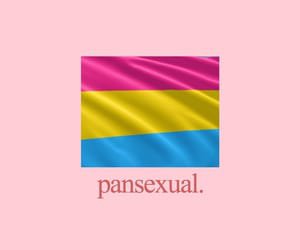 I'm surprised there's no bisexual flag png on we heart it. So here y'all go. This is for Sasha because she's a bisexual icon