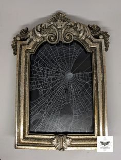 Real spiderweb in a gold baroque frame
