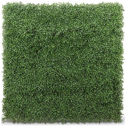 grass wall