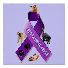dog abuse awareness - Google Search
