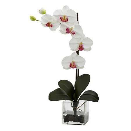 nearly natural Giant Phalaenopsis Orchid Arrangement