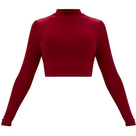 *clipped by @luci-her* Maroon Slinky High Neck Longleeve Crop Top