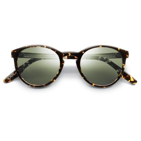 Brooks Polished Ambercomb Tortoise Sunglasses with Brushed Gold & Green AR Lens | IVI | Eponymous