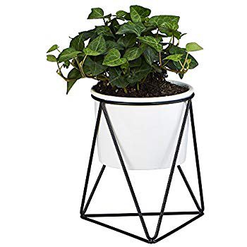 Amazon.com: Set of 3 Mini Planters, Square Cement Plant Pots w/Decorative Bamboo Wood Display Tray: Garden & Outdoor