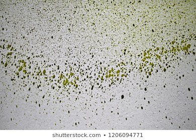 military green smears - Google Search