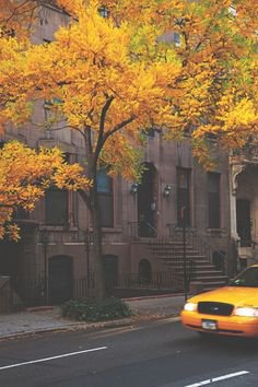Fall NYC