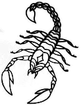 super cool scorpion tattoo