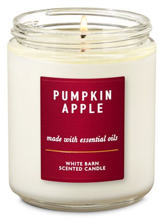 Pumpkin Apple Single Wick Candle | Bath & Body Works