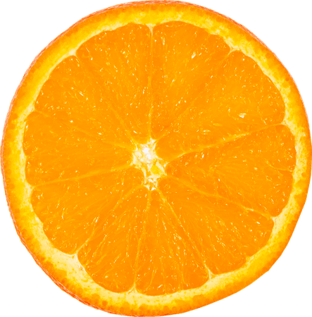 Fruit Orange Slice - Free photo on Pixabay