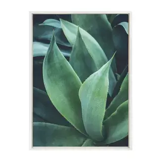 23" X 33" Sylvie Agave II Framed Canvas Wall Art By F2 Images White - Kate And Laurel : Target