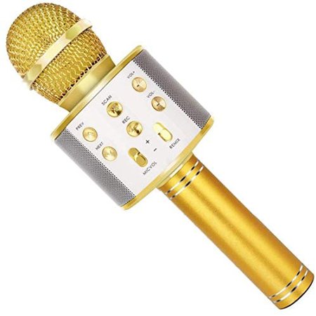 Amazon.com: SUNY Wireless Bluetooth Karaoke Microphone with Speaker & Record Function, Best Gift Singing Toy for Kid (Gold): Musical Instruments