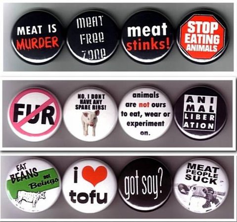 12 Vegan / Vegetarian badges buttons pins pinback Animal | Etsy