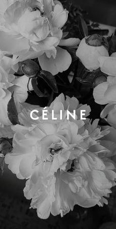 Céline fashion aesthetic