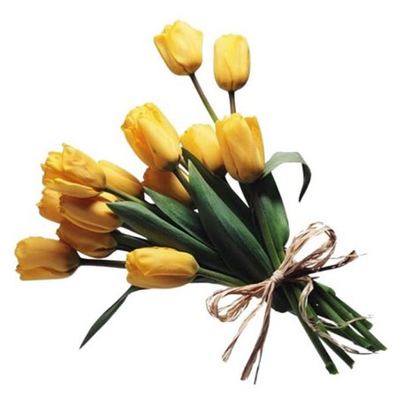 yellow tulip bundle