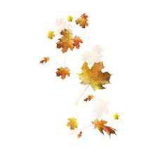 autumn polyvore backgrounds - Google Search